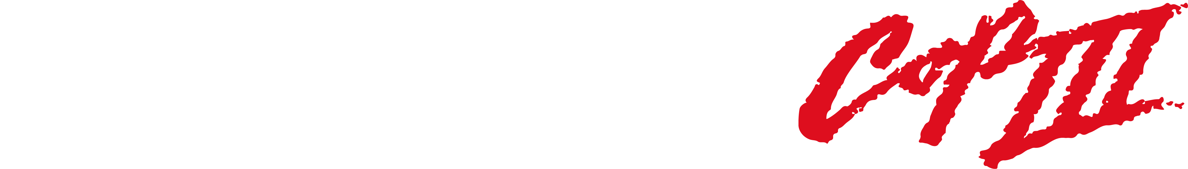 Beverly Hills Cop III