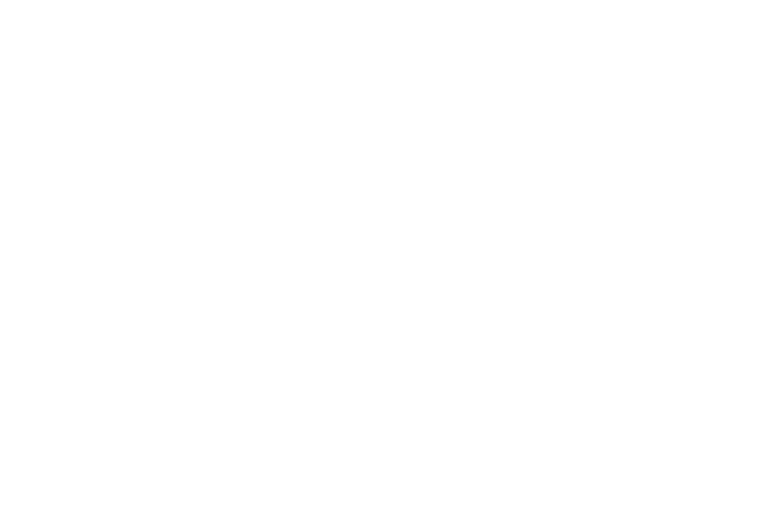 The Only Ones
