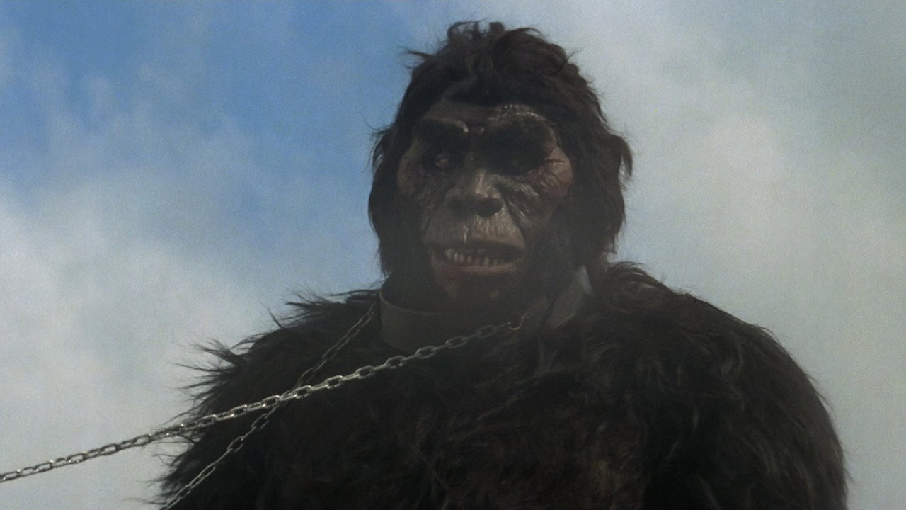The Mighty Peking Man (1977) wallpaper #4 — 1440×810 HD backdrop — Word of a monster ape ten stories tall living in the Himalayas reaches fortune hunters in… — free HD background for desktop, MacBook, mobile & iPhone (ref jD9AaCkf3tpgEBJS2gSpSq4KPfp)