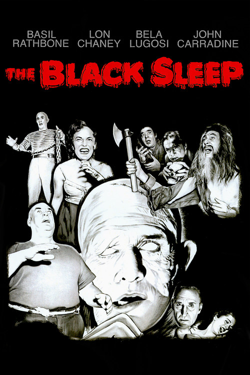 The Black Sleep vertical backdrop 6